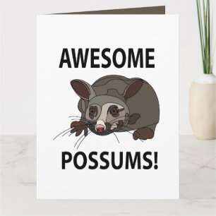 Possums Awesome Funny Possums Card
