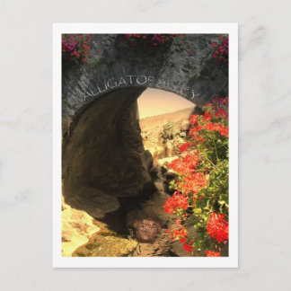 POST CARD Alligator Alley