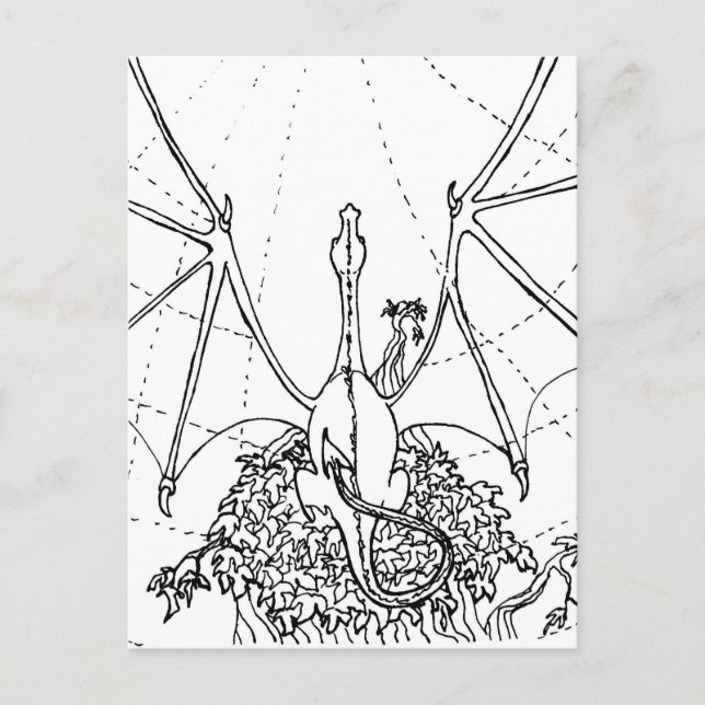 Post Card - Dragon Wings (Front)