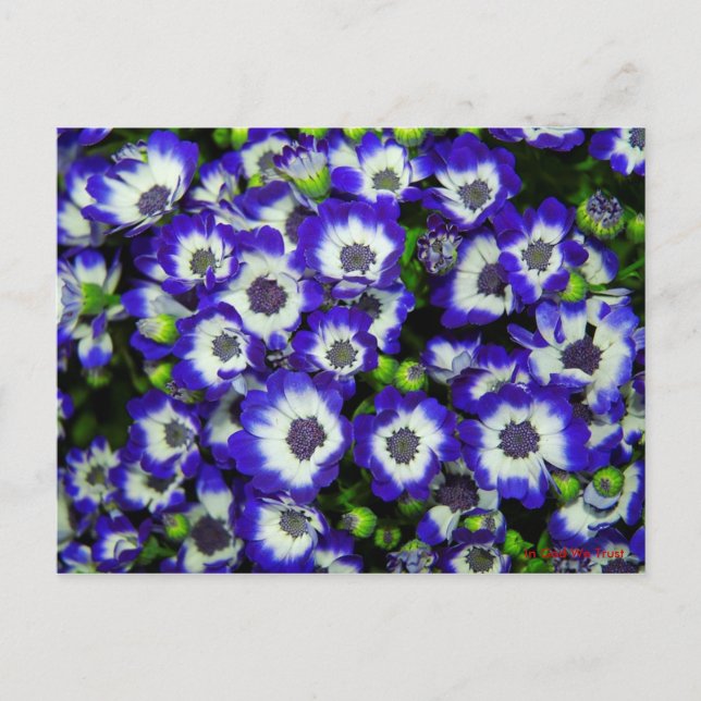 Post Card for Travel 3 (Front)