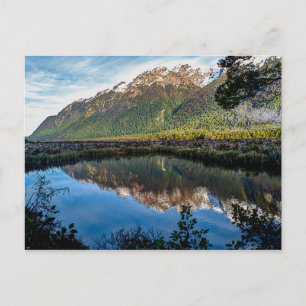 Post Card from New Zealand