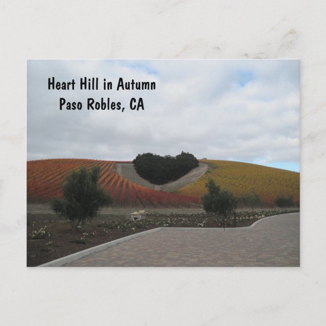 Post Card: Heart Hill in Autumn, Paso Robles Postcard (Front)
