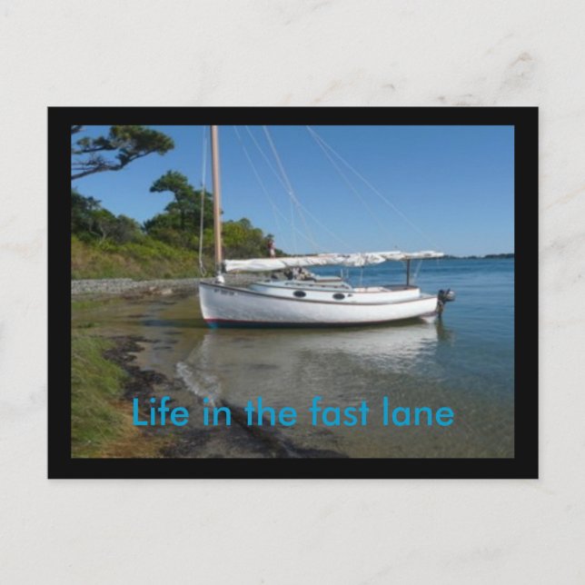 Post card:Life in the fast lane Postcard (Front)