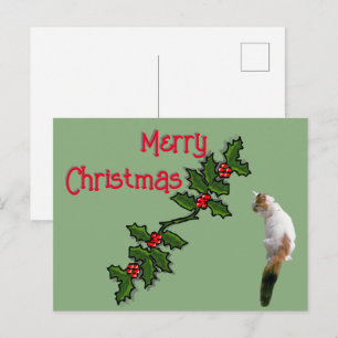 Post Card - Merry Christmas Holly and Calico Cat
