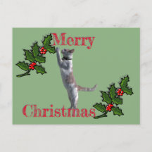 Post Card - Merry Christmas Holly and Cat