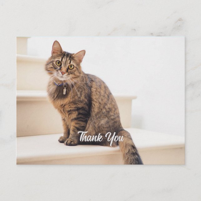 Post Card, Size: Standard Postcard, Paper: Semi-Gl Postcard (Front)