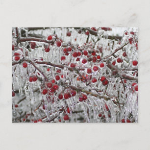 Post Cards