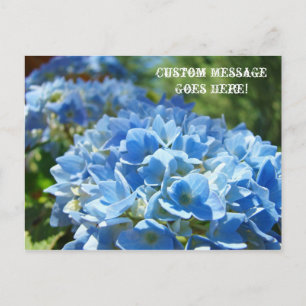 Post Cards Nature Custom Business Hydrangeas