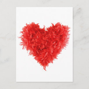 Post Cards  Red Heart Boa