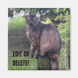 Post Cat Magnet