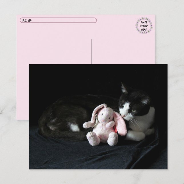 Post-croisement Certains Lapin M'Aime - Carte Post (Devant / Derrière)