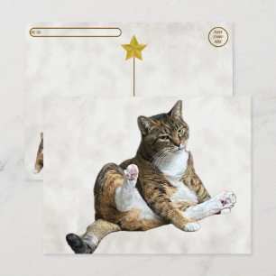 Post-croisement - Pose de chat soyeux - Carte post