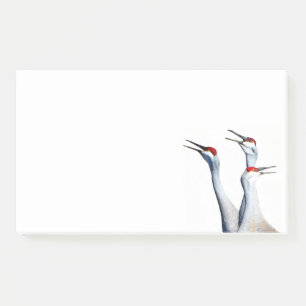 Post-it® 3 Grues de Sandhill Photo 10x6 Notes