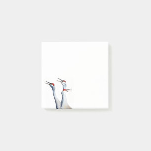 Post-it® 3 Grues Sandhill Photo 3x3 Post-it Notes