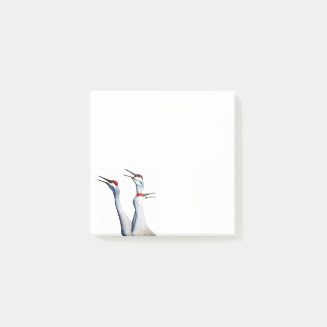 Post-it® 3 Grues Sandhill Photo 3x3 Post-it Notes (Devant)