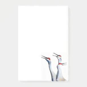 Post-it® 3 Sandhill Cranes Photo 4x6 Notes