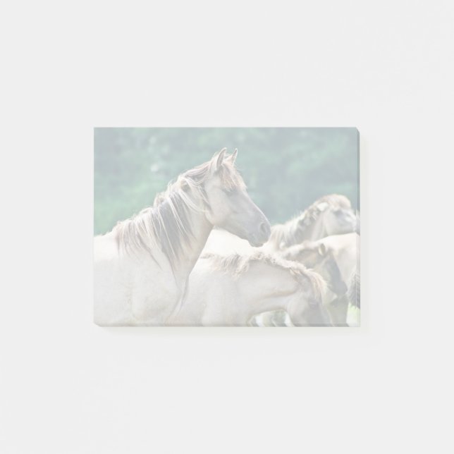 Post-it® A herd of Brumby Horses from Australie (Devant)