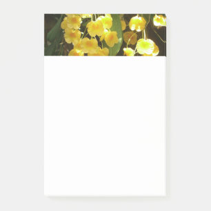 Post-it® Accrocher les orchidées jaunes Fleurs tropicales