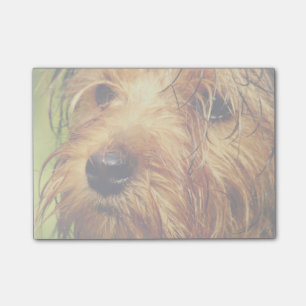 Post-it® Adorable chien Terrier avec un visage humide