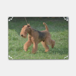Post-it® Airdale doux Terrier