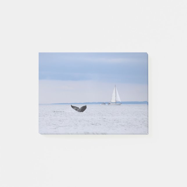 Post-it® Alaska - Baleines et voiliers (Devant)