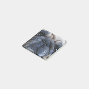 Post-it® Allez-y Bientôt Sick Carlin Chien