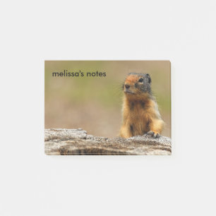 Post-it® Amusant Cute Saucy Columbian Ground Squirrel