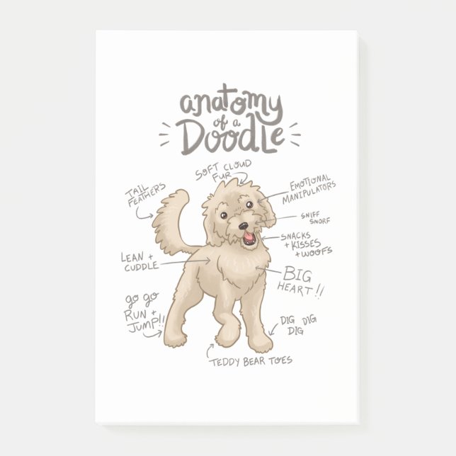 Post-it® Anatomie d'un doré (Devant)