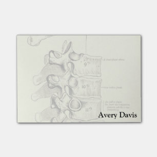 Post-it® Anatomie Vintage  Vertebrae