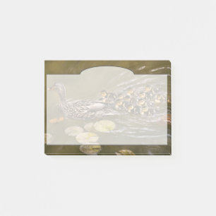 Post-it® Animal - Canards - Nager comme un canard