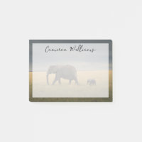 Animaux de bébés cutest | African Elephant Family