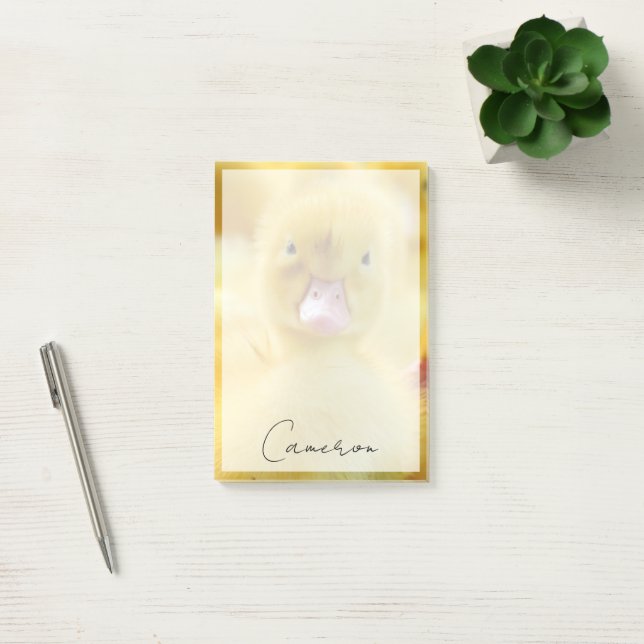 Post-it® Animaux de bébés cutest | Baby Duck Group (Bureau)