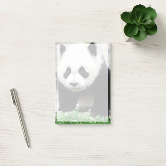 Post-it® Animaux de bébés cutest | Baby Panda Bear (Bureau)