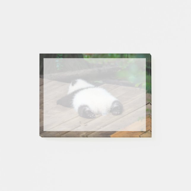 Post-it® Animaux de bébés cutest | Bébé Géant Panda Dormir (Devant)