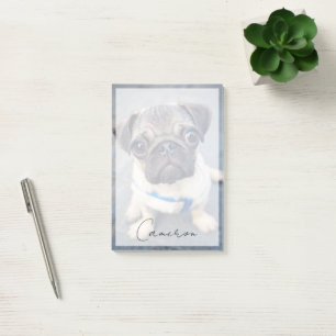 Post-it® Animaux de bébés cutest   Carlin bébé
