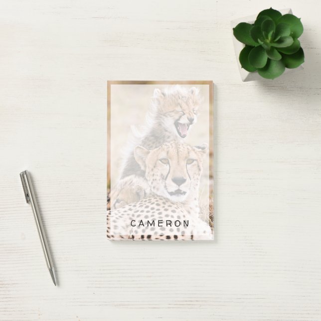 Post-it® Animaux de bébés cutest | Cheetah Cat & Cub (Bureau)