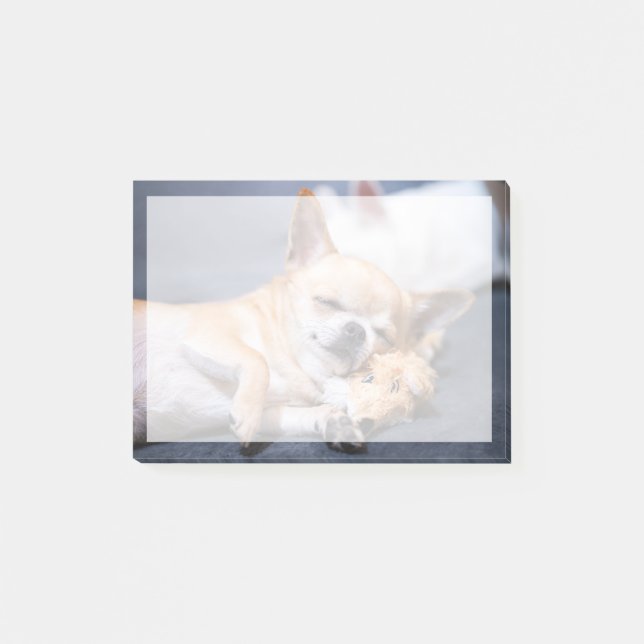 Post-it® Animaux de bébés cutest | Chihuahua Chig aux cheve (Devant)