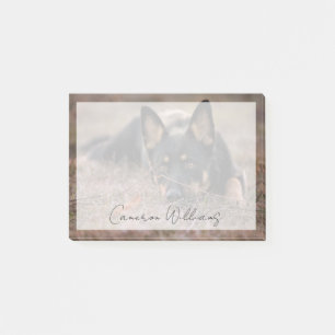 Post-it® Animaux de bébés cutest Chiot berger allemand