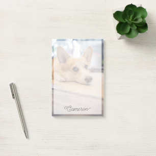 Post-it® Animaux de bébés cutest Chiot de Corgi au sol