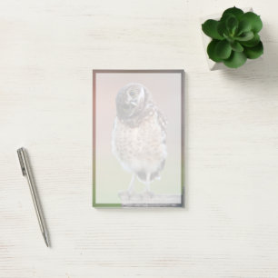 Post-it® Animaux de bébés cutest Chouette à tête bractée
