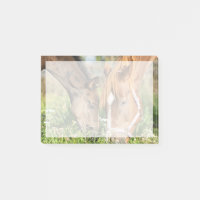 Animaux de bébés cutest | Colt à cheval