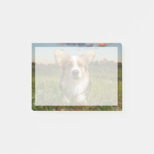 Post-it® Animaux de bébés cutest Corgi dans le nuage