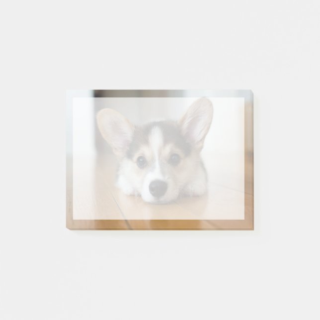 Post-it® Animaux de bébés cutest | Corgi Puppy (Devant)