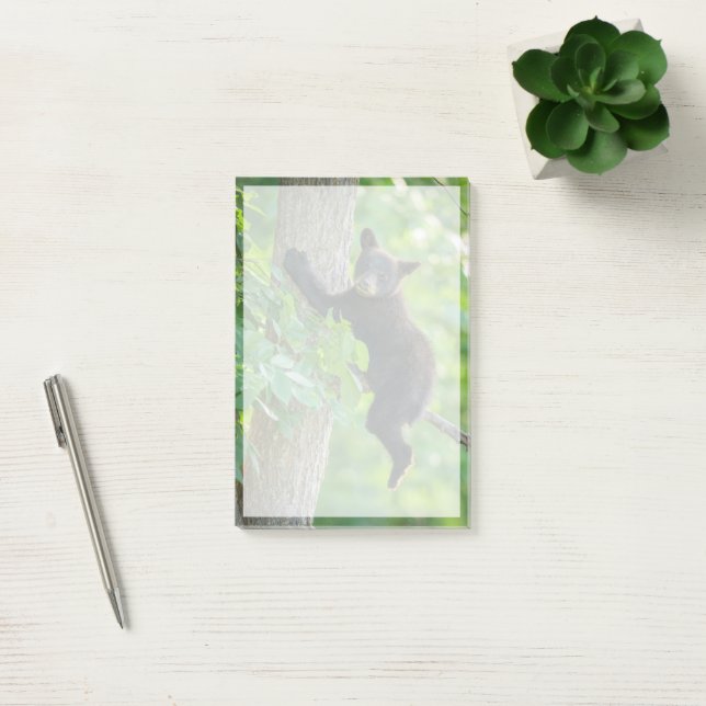 Post-it® Animaux de bébés cutest | Cube d'ours noir (Bureau)