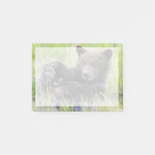 Post-it® Animaux de bébés cutest   Cute Brown Bear Cub Joue