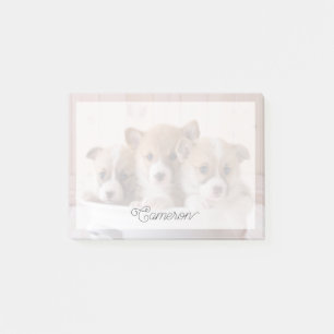 Post-it® Animaux de bébés cutest Cute Corgi Chipies dans