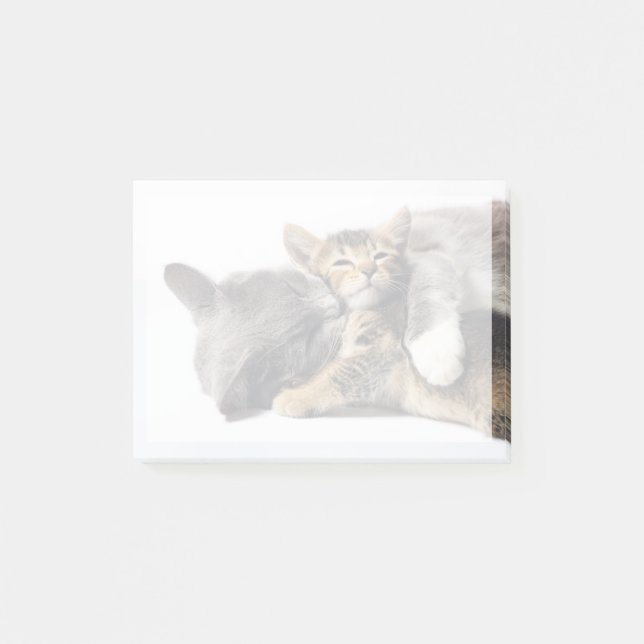 Post-it® Animaux de bébés cutest | Cute Kitten Hug (Devant)