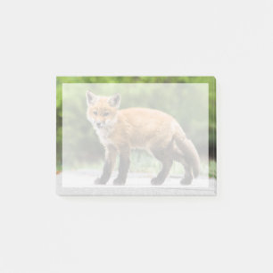 Post-it® Animaux de bébés cutest Cutey Fox