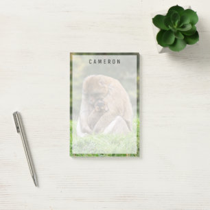 Post-it® Animaux de bébés cutest   Famille Barbary Macaque