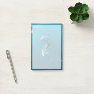 Post-it® Animaux de bébés cutest   Famille de dauphins